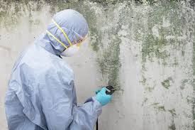 Best Biohazard Mold Removal  in Woodmoor, CO